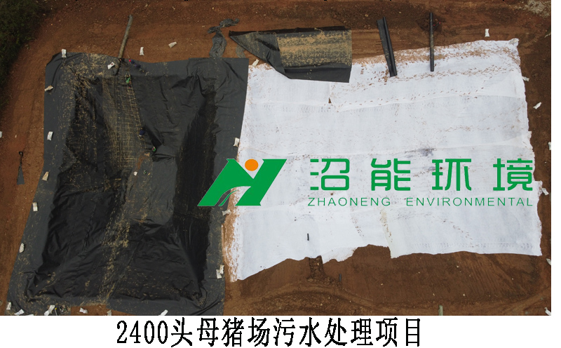 湖南新五丰股份有限公司3000