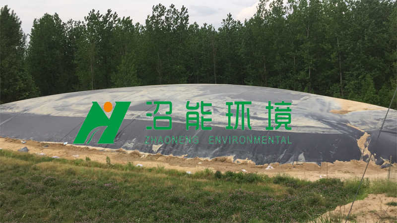 养猪场废水如何处理?生态循环法,超高利用率!