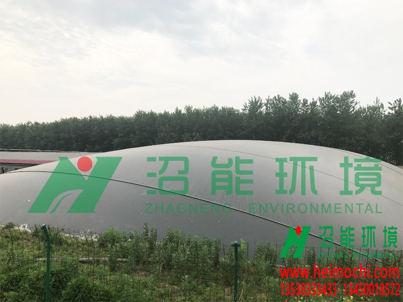 湖北潜江8000立方黑膜沼气工程 黑膜沼气池成功案例