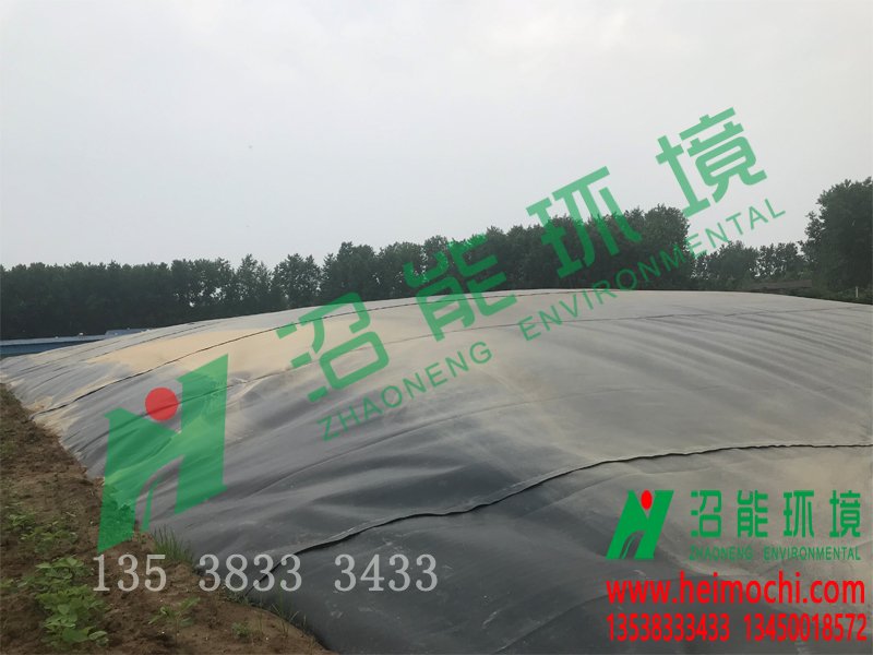 湖北潜江老新镇徐李10000立方黑膜沼气工程 l黑膜沼气池