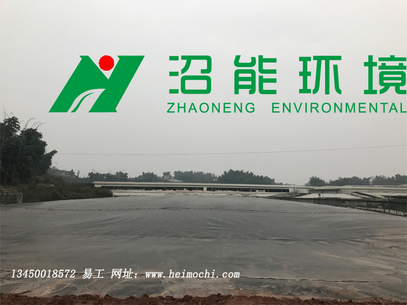 重庆荣昌某猪场10000立方黑膜沼气工程 黑膜沼气池