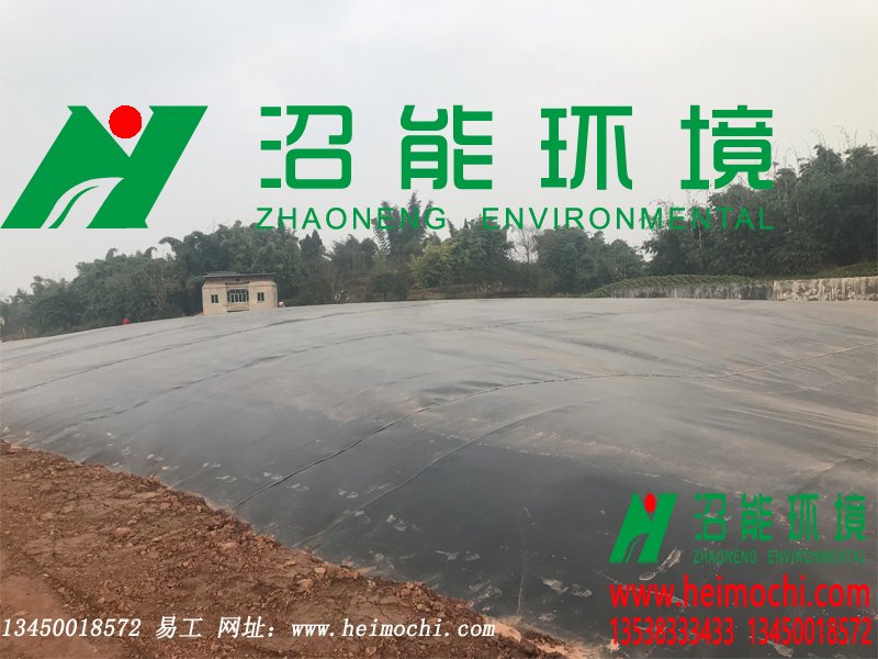重庆荣昌区10000立方黑膜沼气池成功产气 成功案例