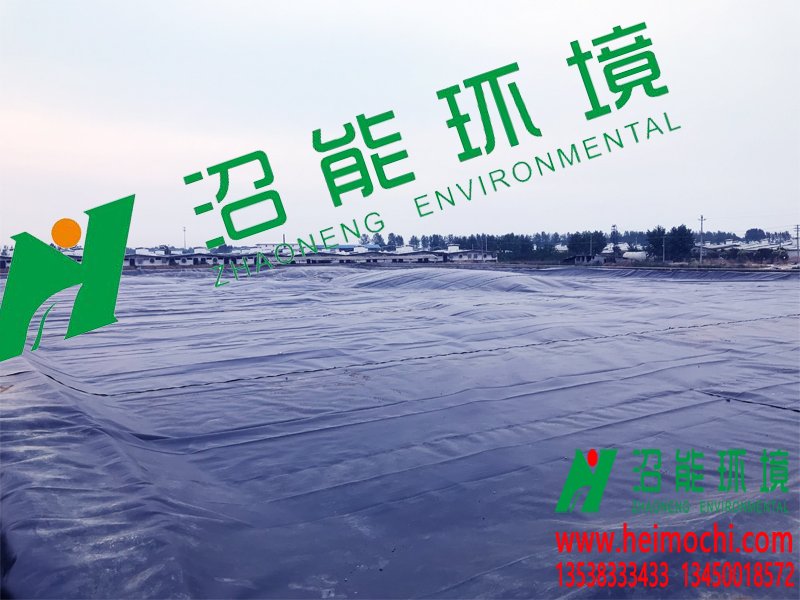 牧原股份卧龙第三分场20000立方黑膜沼气工程黑膜沼气池