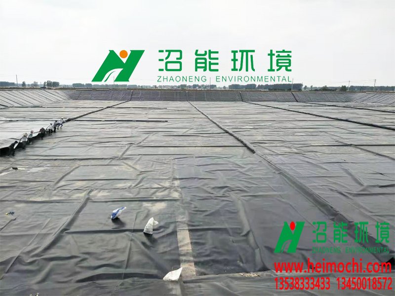 牧原股份安徽阜阳颍泉90000立方黑膜沼气工程 黑膜沼气池 