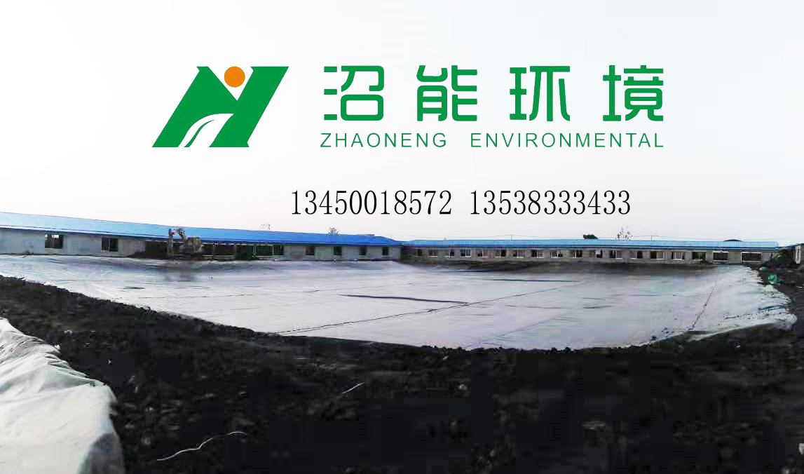 湖北潜江13000立方黑膜沼气工程 黑膜沼气池 厌氧发酵新技术