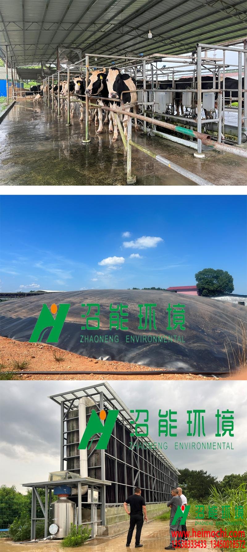 江西萍乡市芦溪奶牛场黑膜沼气池成功产气